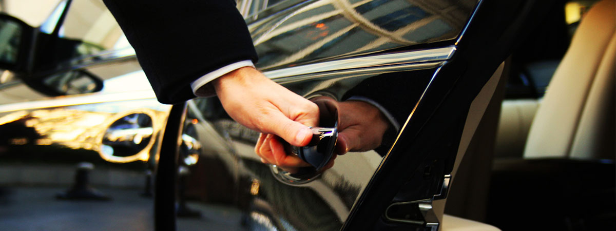 Things To Know Before Buying Limo Software 2022